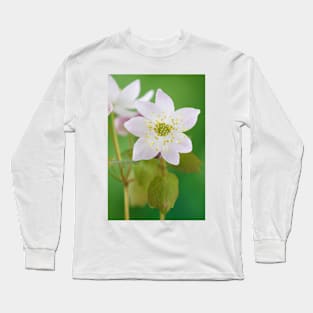 Anemonella thalictroides rosea  Rue Anemone Long Sleeve T-Shirt